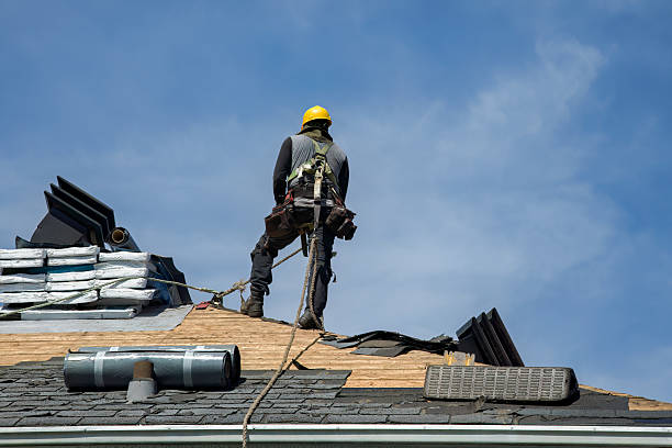 Professional Roof Replacement technician working in Wapello, IA